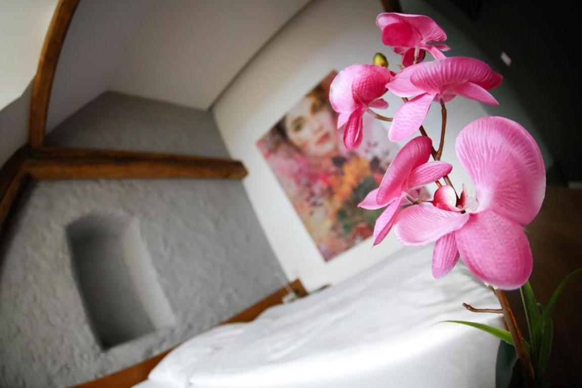 Appartement-Hotel Gh Zum Goldenen Schiff Enns Exteriör bild